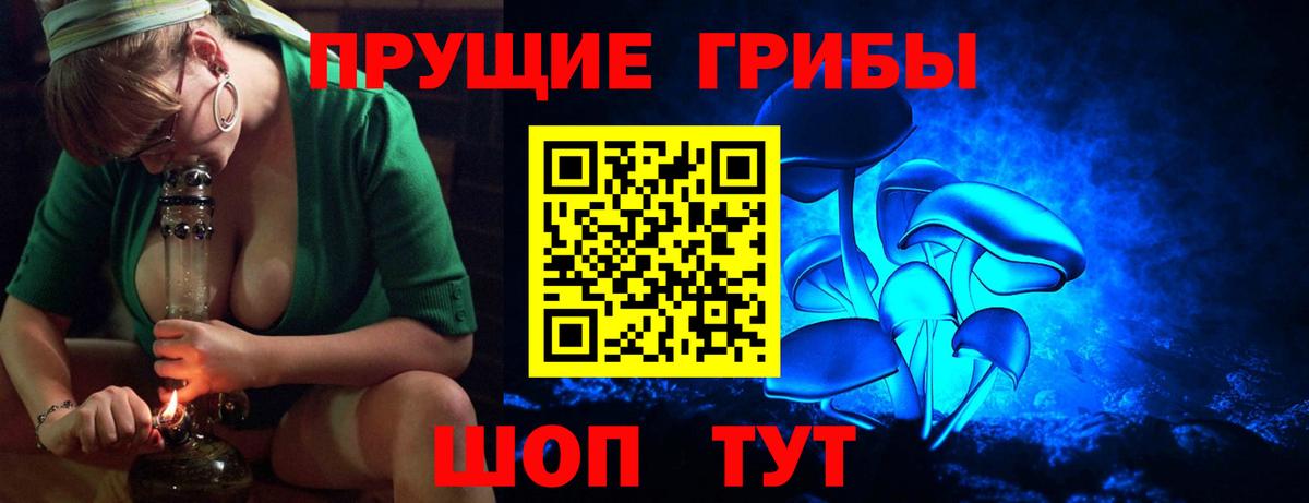 что такое наркотик  Псилоцибиновые грибы Cubensis  Вход с VPN  Фрязино 