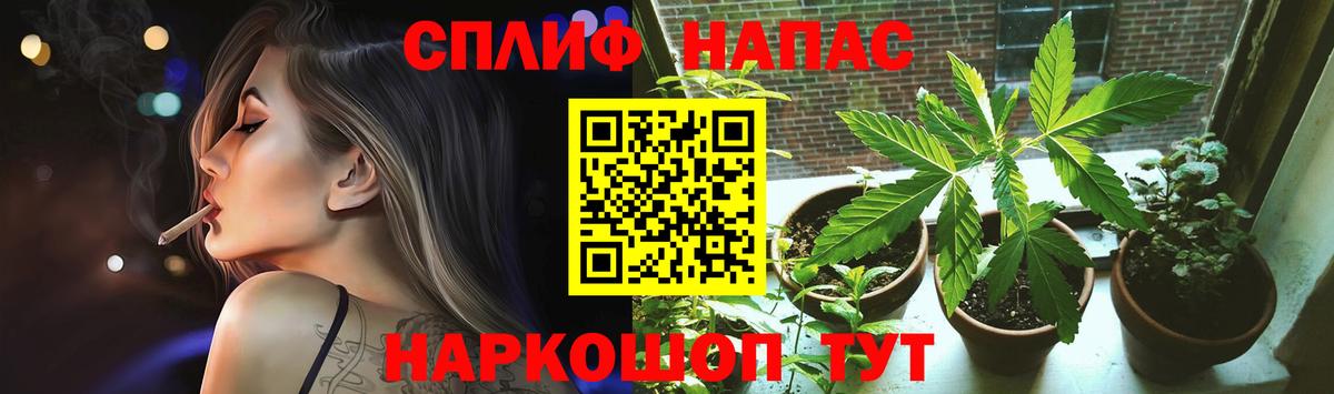 Марихуана LSD WEED  Бошки Шишки планчик  Фрязино  Канабис White Widow  Бошки марихуана тримм  Вход с VPN 